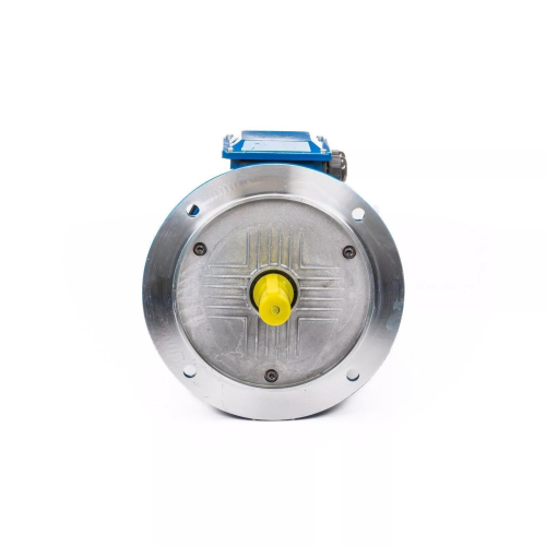 5АИ 100 S2 4/3000 IM3081